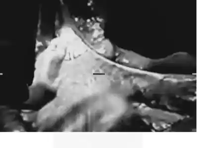 Stefano Santa María