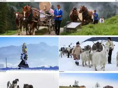 Hans Zürcher Fotografie