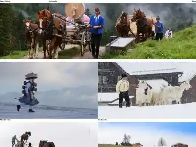 Hans Zürcher Fotografie