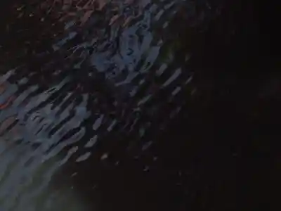 Atelierhaus 23 〜 Kunsthaus Atelierhaus Kunstgalerie Künstleratelier Kunstausstellung Kunstwerkstatt Kunstevents Kunstschaffende Kreativwerkstatt [Kunsthaus + Hamburg][Atelierhaus + Hamburg][Kunstgalerie + Hamburg] [Künstleratelier + Hamburg][Kunstausstellung + Hamburg][Kunstwerkstatt + Hamburg] Kunst für Sammler Kunstkauf Hamburg Originale Kunstwerke Hamburg Zeitgenössische Kunst Hamburg Künstlergemeinschaft Hamburg Kunstveranstaltungen Hamburg Kunstshows Hamburg Kunstmesse Hamburg Kunstevents Hamburg Vernissage Hamburg Abstrakte Kunst Hamburg Moderne Kunst Hamburg Traditionelle Kunst Hamburg Skulpturen Hamburg Fotokunst Kunst mieten Hamburg Kunst kaufen Hamburg Künstler buchen Hamburg Kunstberatung Hamburg Kunstinstallation Hamburg Kunst und Kultur Hamburg Kreativszene Hamburg Kunsthandwerk Hamburg Kunstkollektiv Hamburg Kunstnetzwerk Hamburg Atelier Kunst Hamburg Kunst Atelier Hamburg Hamburger Kunstszene Hamburger Künstleratelier Kunstschaffende in Hamburg Atelier mieten Hamburg Kunst kaufen Atelier Hamburg Atelier Kunstausstellungen Hamburg Kunstevents im Atelier Hamburg Atelier für zeitgenössische Kunst Hamburg Kunstworkshops im Atelier Hamburg Atelier Kunstveranstaltungen Hamburg Kunst und Kreativworkshops Hamburg Atelier Vernissagen Hamburg Kunstshows im Atelier Hamburg Hamburger Künstler und Ateliers Moderne Kunst Ateliers Hamburg Traditionelle Kunst Ateliers Hamburg Atelier für abstrakte Kunst Hamburg Hamburger Kunst und Künstler Atelier für Kunstliebhaber Hamburg Kunst für Sammler aus Hamburger Ateliers Atelierbesuche in Hamburg Kunstführungen durch Hamburger Ateliers Kunstberatung im Atelier Hamburg Kunstgemeinschaft Atelier Hamburg Künstlernetzwerk und Ateliers Hamburg Atelier und Kunstkollektiv Hamburg Künstlergemeinschaft Atelier Hamburg Kunst und Atelier Treffpunkt Hamburg Atelier für Fotokunst Hamburg Skulpturen Atelier Hamburg Malerei Atelier Hamburg Bildhauer Atelier Hamburg Atelier für digitale Kunst Hamburg Kunstmarkt- und Handelsbezogene Keywords: Kunstmarkt im Atelier Hamburg Kunsthandel Atelier Hamburg Atelier Kunstverkauf Hamburg Kunstauktionen im Atelier Hamburg Originalkunst aus Hamburger Ateliers kaufen