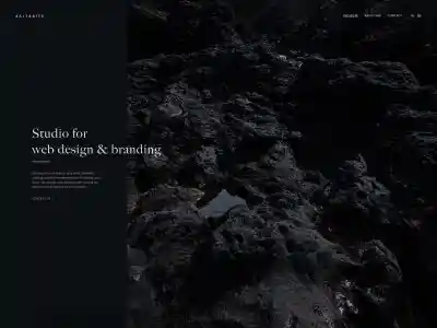 Salt&Bits • Studio for  web design & branding