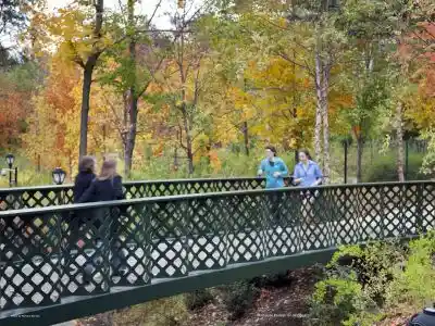 Guy Nordenson and Associates