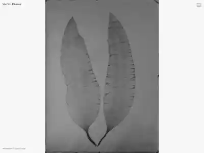 Steffen Diemer | Home