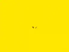 FABRIC™ - Open Web Contributors