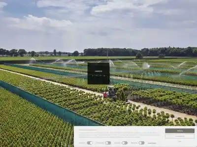 Laurica-Plants | Laurierkwekerij, laurier, Laurica, Laurica-Plants, laurier huren, laurier kopen, laurierkweker, Jabbeke | Laurierkwekerij Jabbeke | Laurus nobilis