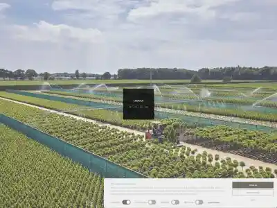 Laurica-Plants | Laurierkwekerij, laurier, Laurica, Laurica-Plants, laurier huren, laurier kopen, laurierkweker, Jabbeke | Laurierkwekerij Jabbeke | Laurus nobilis