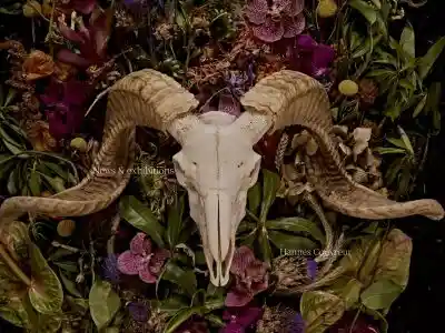 Photographer Hannes Couvreur - artistic work - shop | Hannes Couvreur Photography