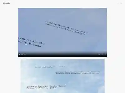 Elfi Seidel / Gesicht und Maske