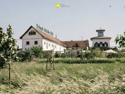 Hofgut Ruppertsberg – Biogastronomie in der Pfalz