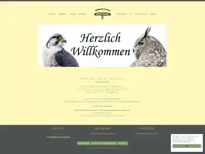 skyhunters in nature | Willkommen - Falknerei aus Ense