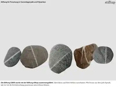 stiftup – Stiftung für Forschung in Tumordiagnostik und Prävention